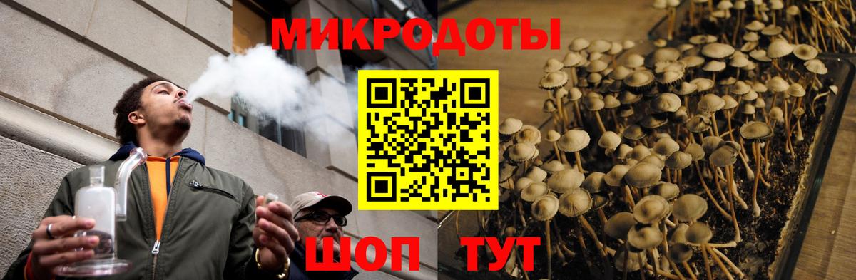 Галлюциногенные грибы прущие грибы Ливны